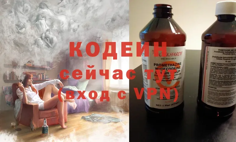 продажа наркотиков  Лодейное Поле  Codein Purple Drank 