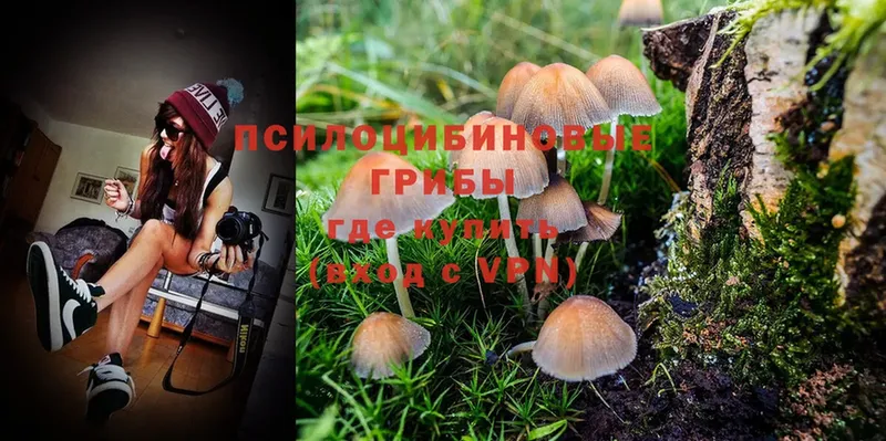 Галлюциногенные грибы MAGIC MUSHROOMS  Лодейное Поле 